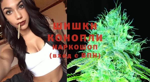 стаф Абаза