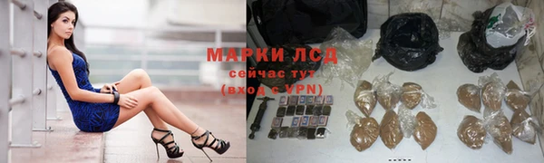 стаф Абаза