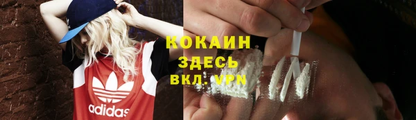 стаф Абаза