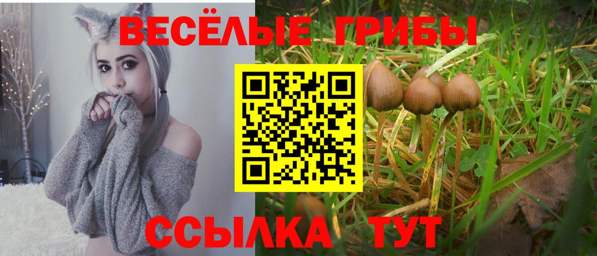 Галлюциногенные грибы GOLDEN TEACHER Энгельс